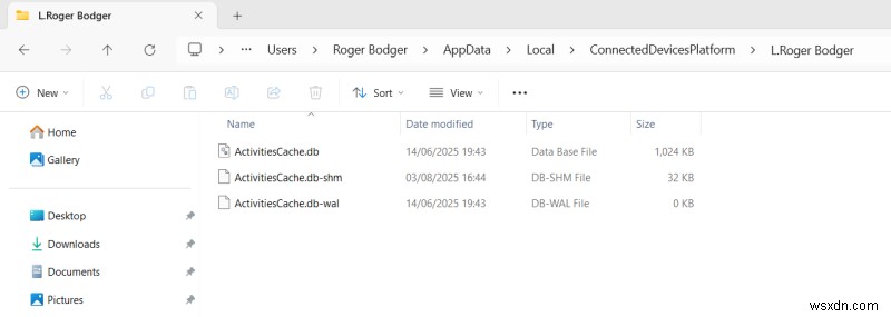 Nền tảng Windows &Thiết bị được Kết nối:Tích hợp liền mạch &Các tính năng nâng cao 